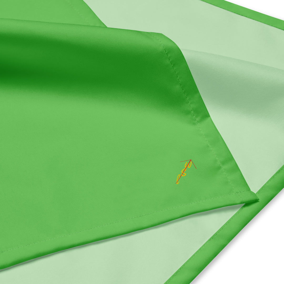LivinSoWell- UFO Green bandana